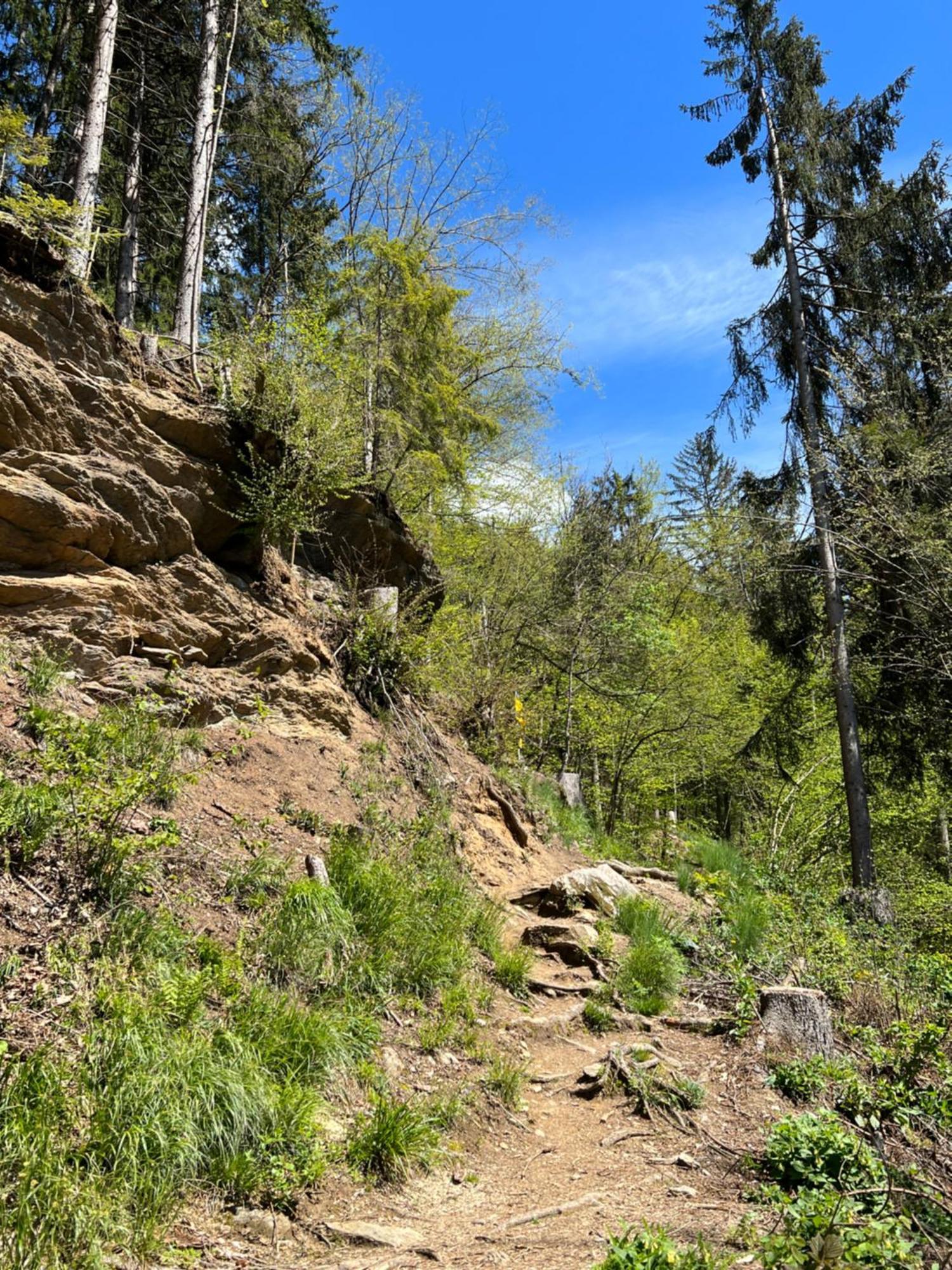 Ferienwohnung Mit Seeblick - Ossiacher See Gerlitzen Sattendorf Esterno foto